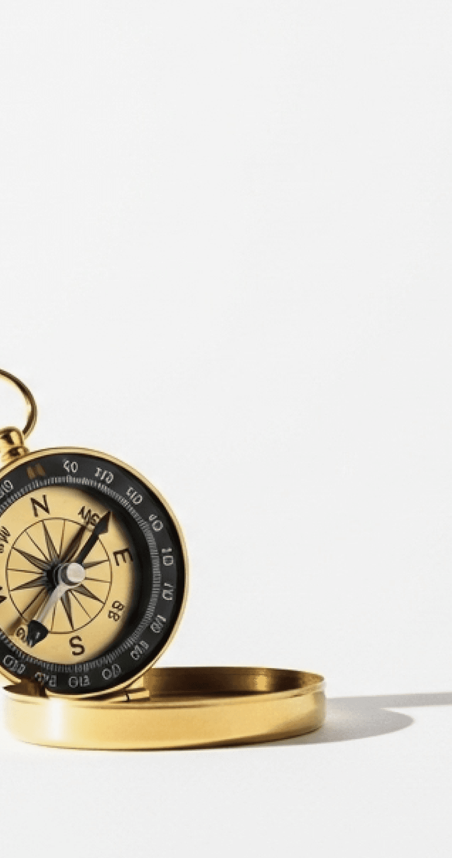 Who This Program Is For